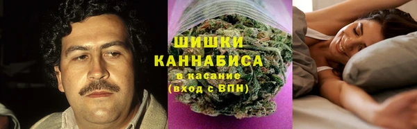 ешки Алзамай