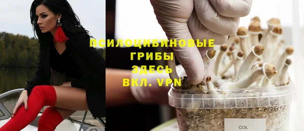 стаф Алексеевка